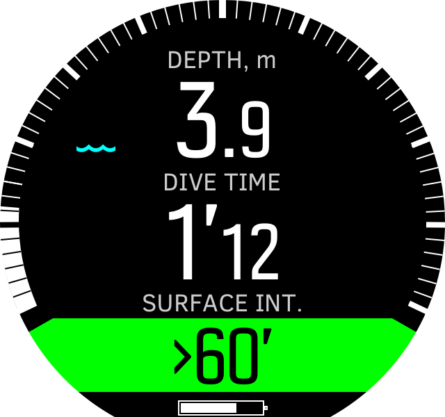 Freedive time during dive D5